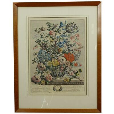 AW7-014: C 1730 Robert Furber - May Floral Calendar Hand Colored Etching